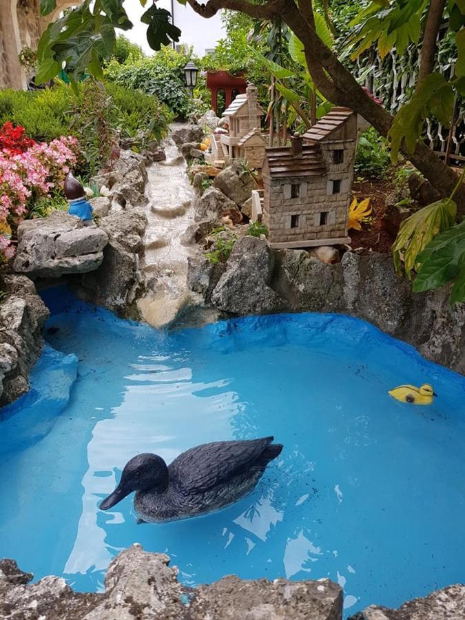 Villa Diana Apartments ポレッチ エクステリア 写真